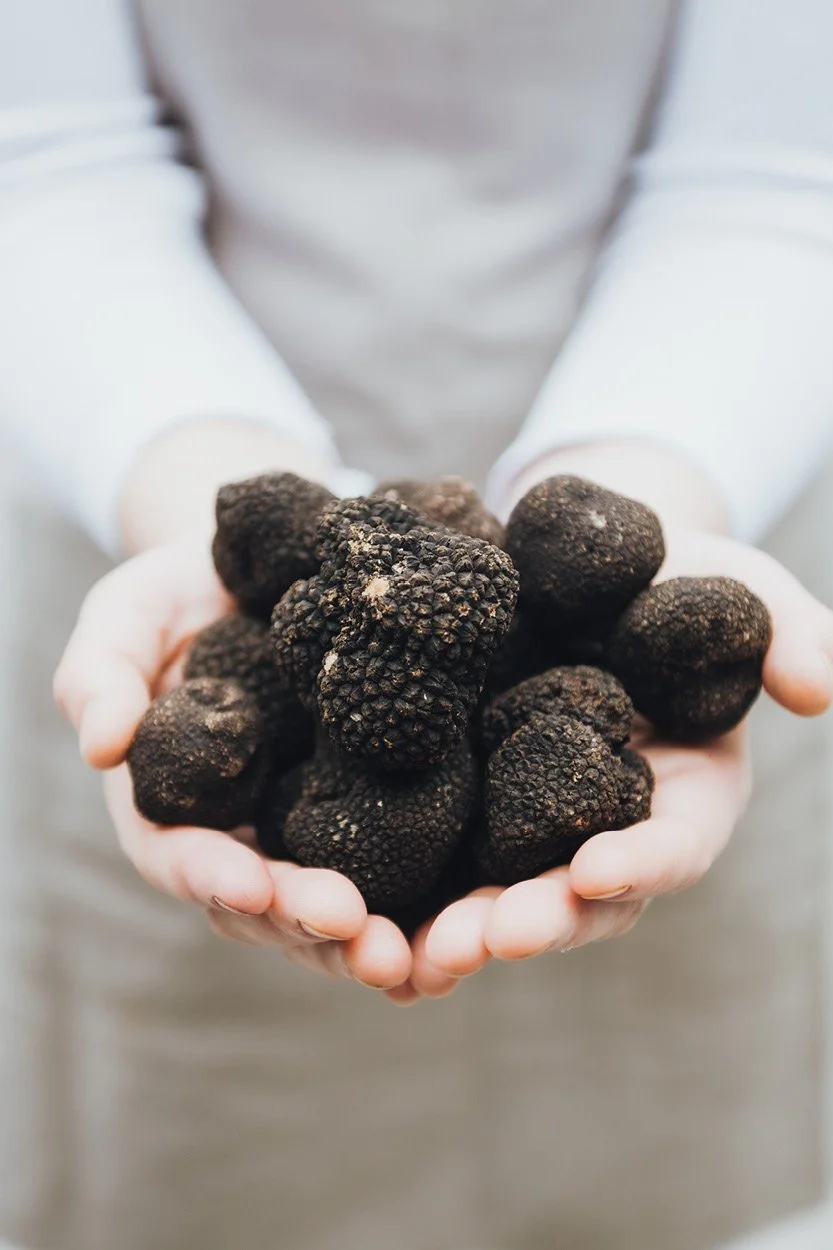 Trüffel als hochwertige Zutat in der Küche des ANIMO by Aigner