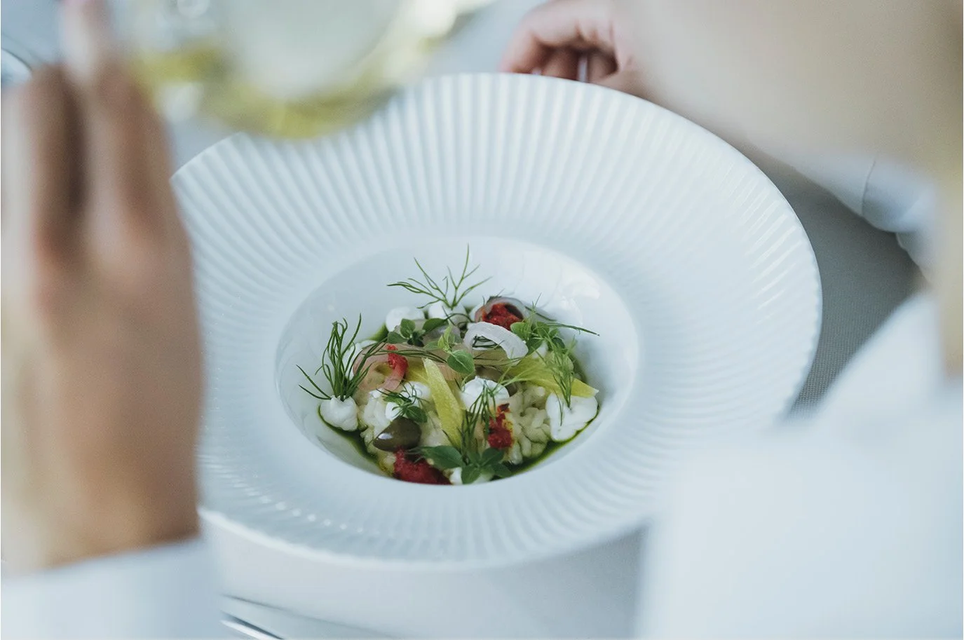 Gast genießt ein Fischgericht mit Weißwein im ANIMO by Aigner in Salzburg