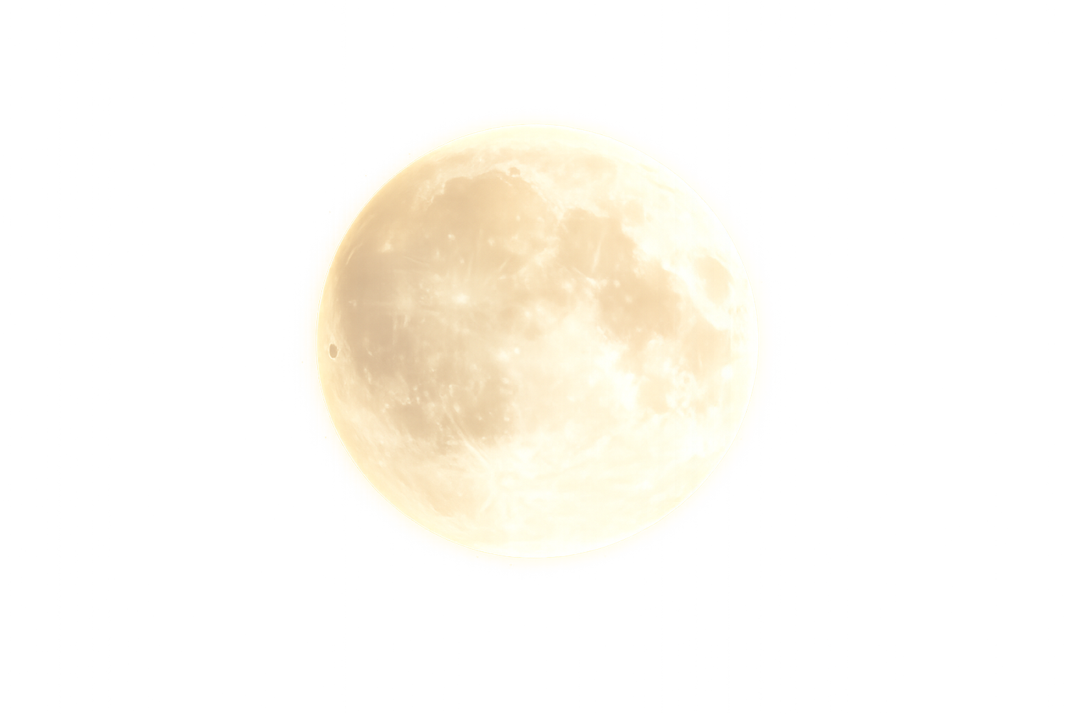 Empowered Transformation