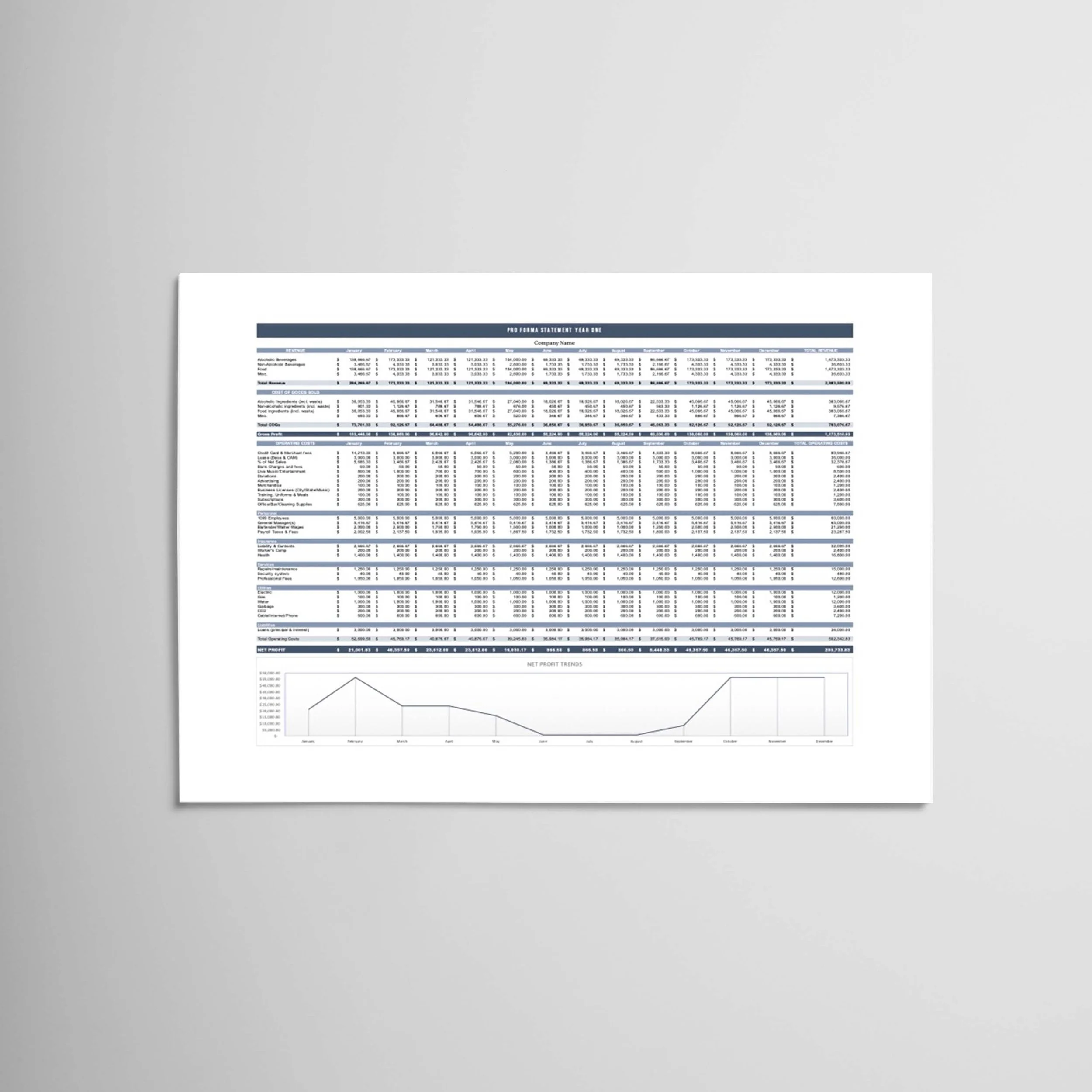 Pro Forma Template