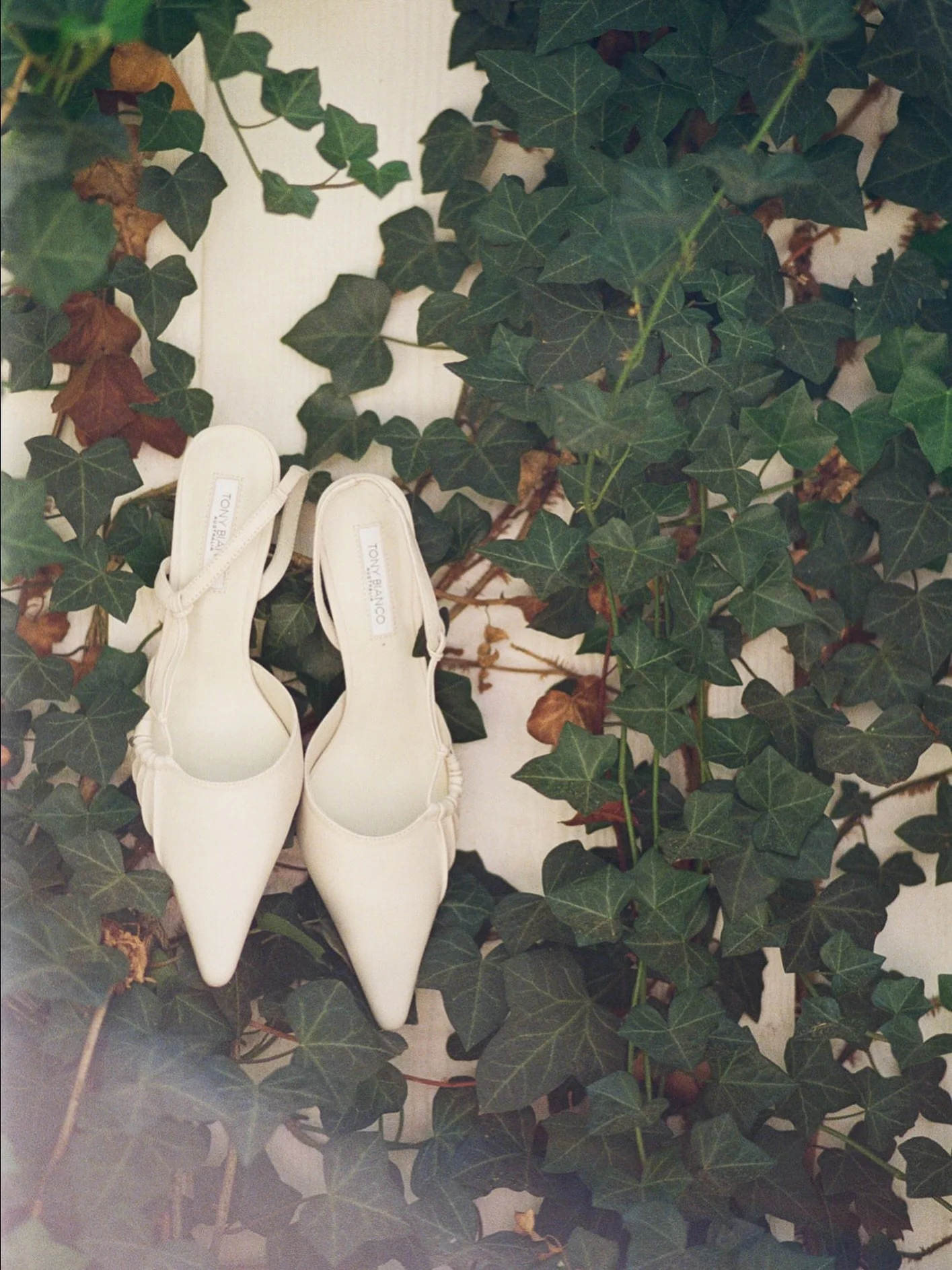 Caroline&rsquo;s shoes - Tulsa, 2024

#oklahomawedding #wedding #weddingphotography 
#weddingphotographer