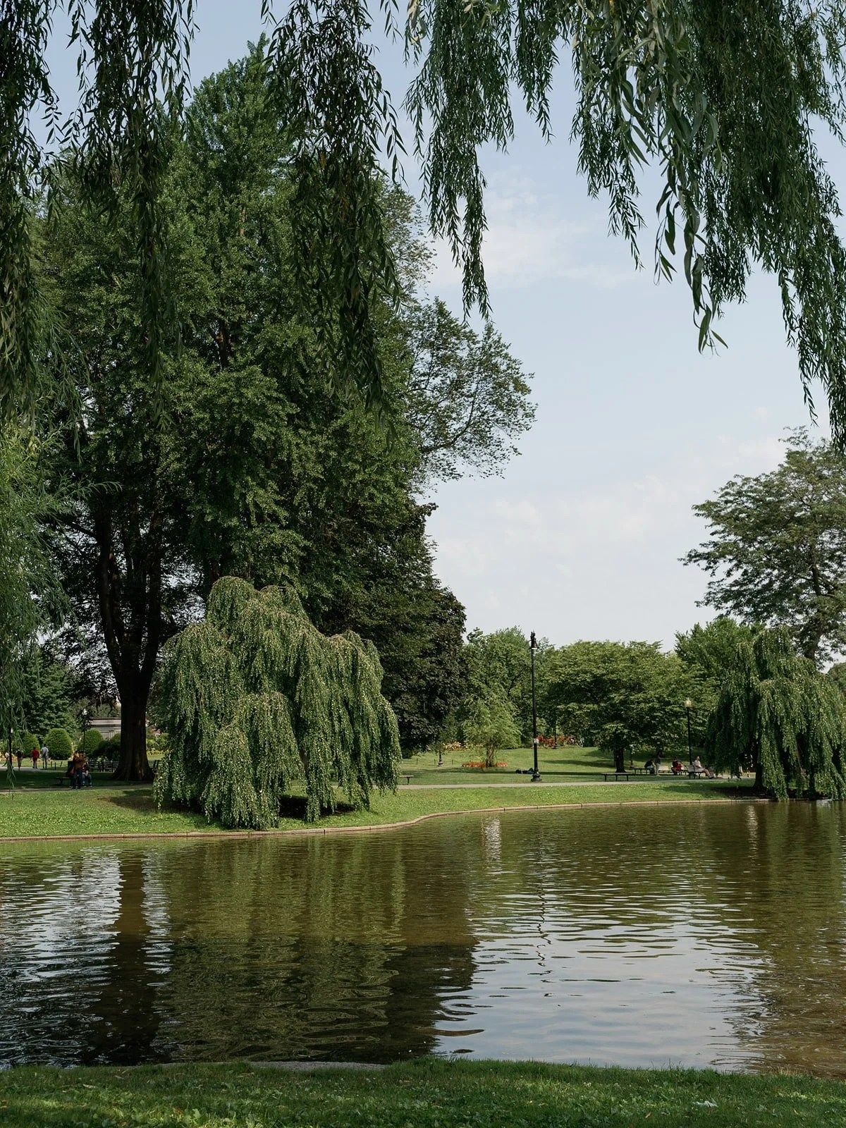 Walking around the neighborhood with Carolyn &amp; Kyle - Boston, 2025

#bostonwedding #bostonweddingphotographer #bostonweddings #engagementphotography