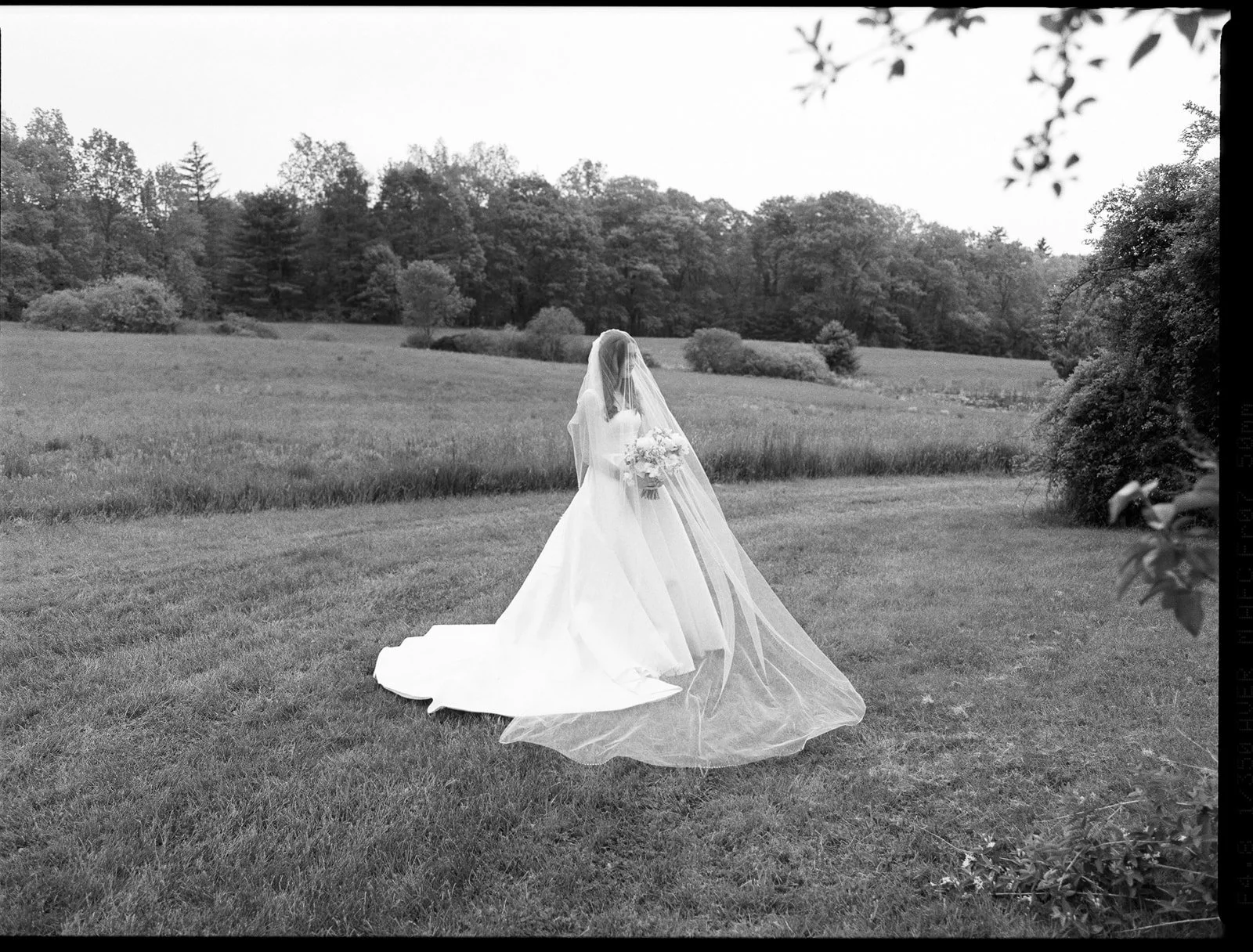 C&K_ScotlandFieldsMaine_MadisonKatlinPhotography-8-98.jpg