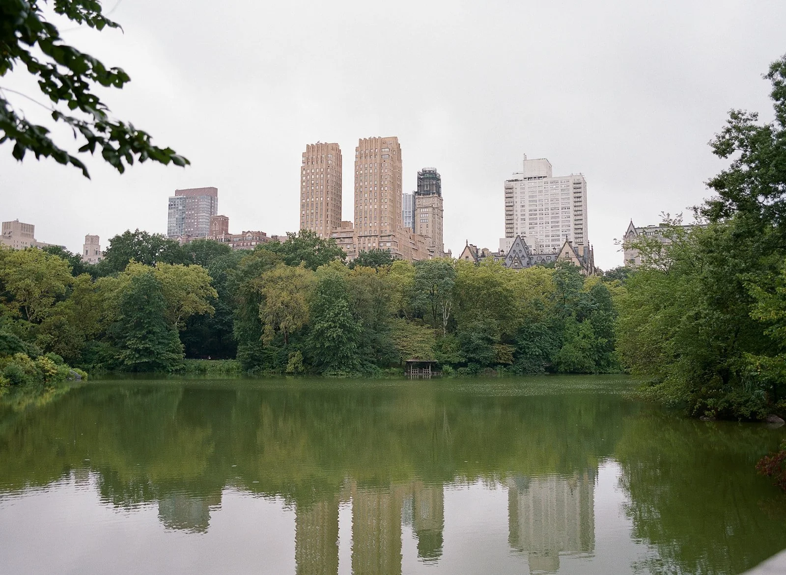 S&N_CentralParkNY_MadisonKatlinPhotography-190_websize.jpg