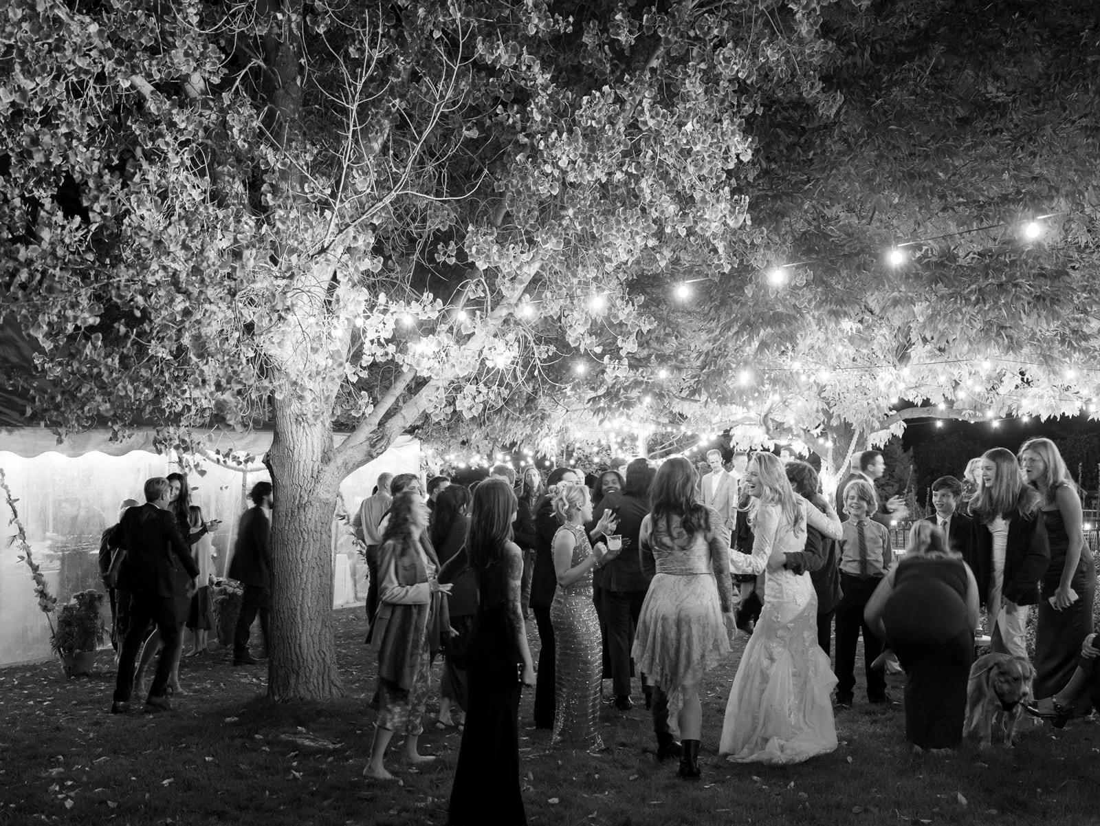 McKennaDannyWedding_LongmontColorado_MadisonKatlinPhotography-75_websize (1).jpg