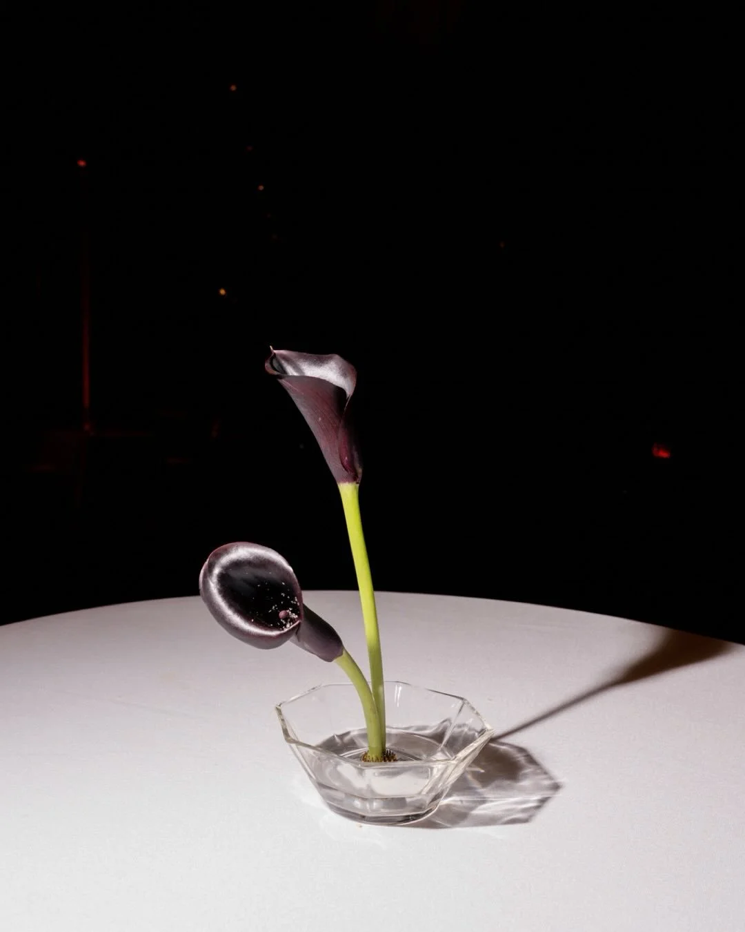 at the beautiful @barnesfoundation for Alee + Dean&rsquo;s wedding. 🖤

&mdash; 
Photo: @nathaliegphoto 
Venue: @barnesfoundation 
Planning: @blushbouquetweddings 
Florals: @salt.florist