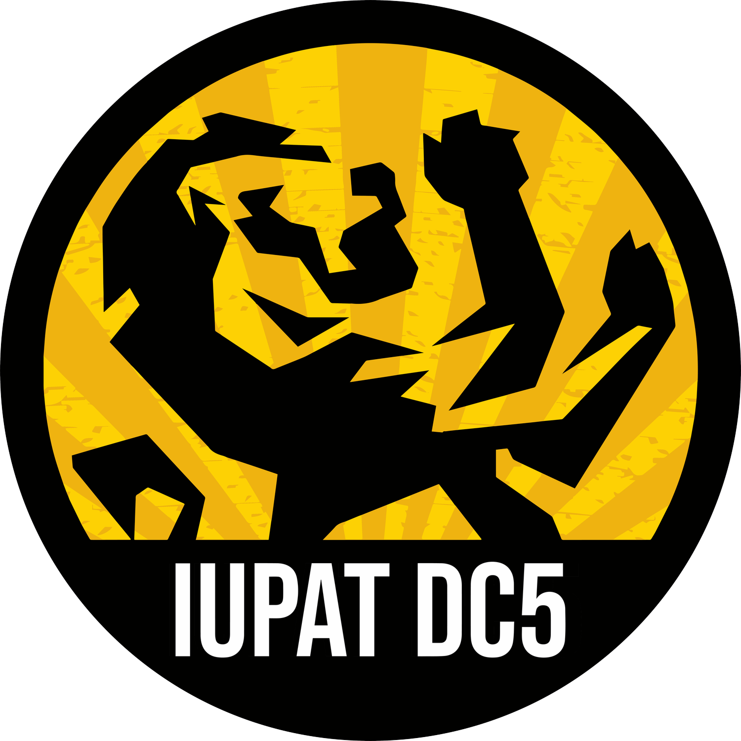 IUPAT DC5