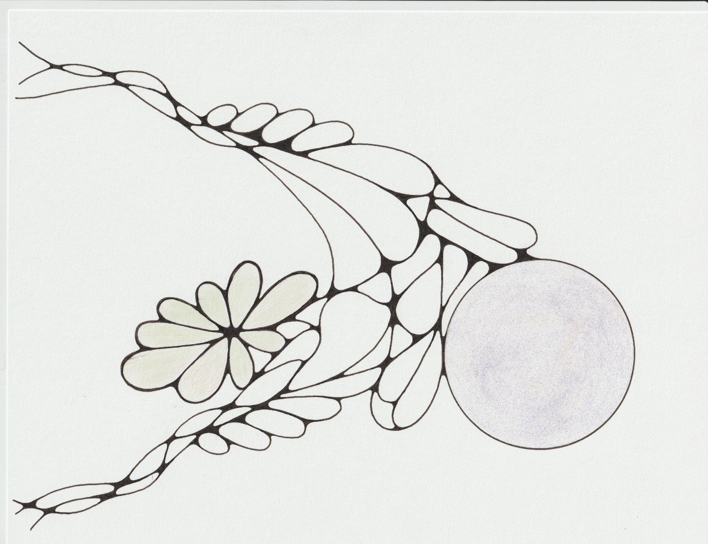 Organic Series (OR29)