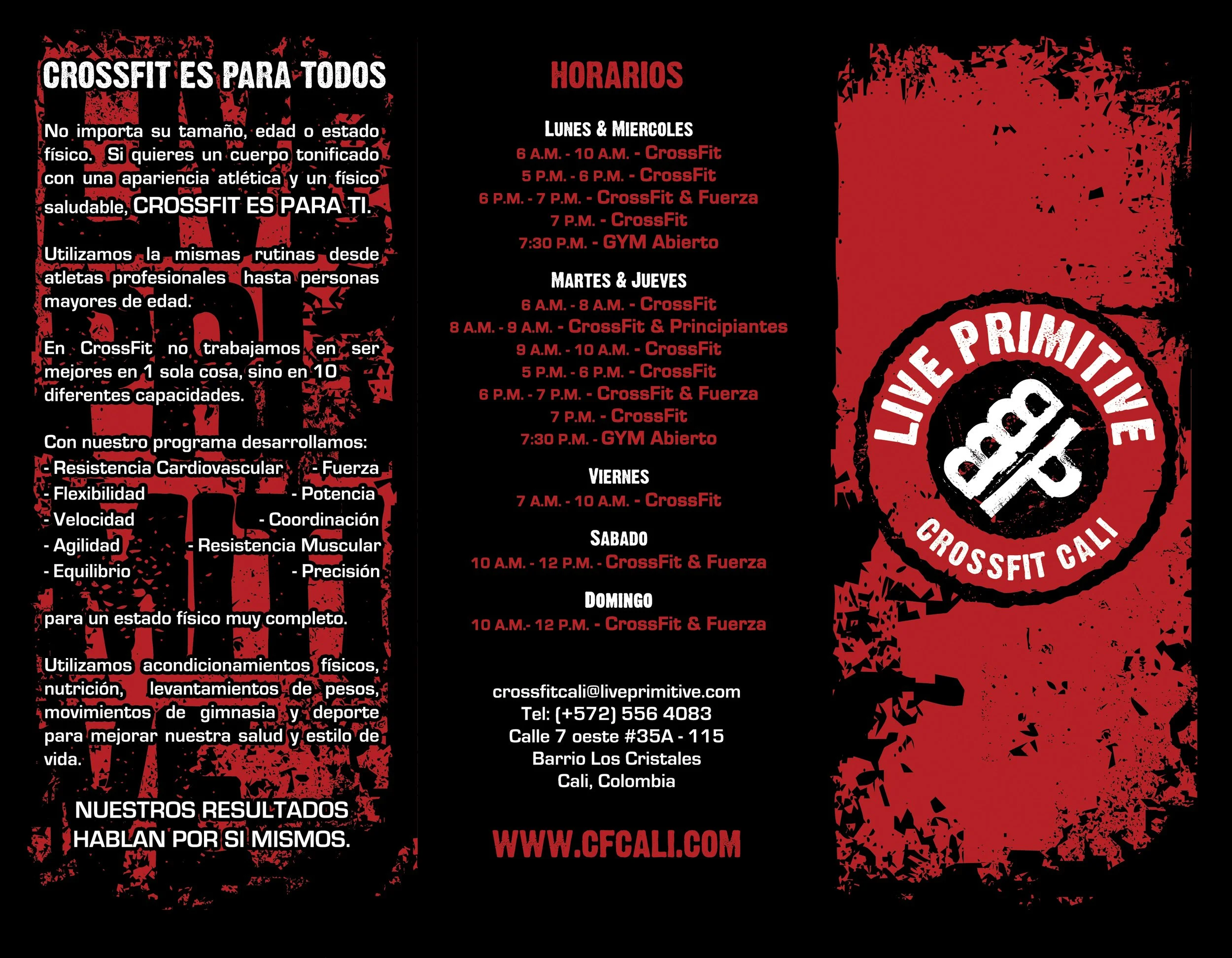 brochure_letterfold_8-5x11_back.jpg