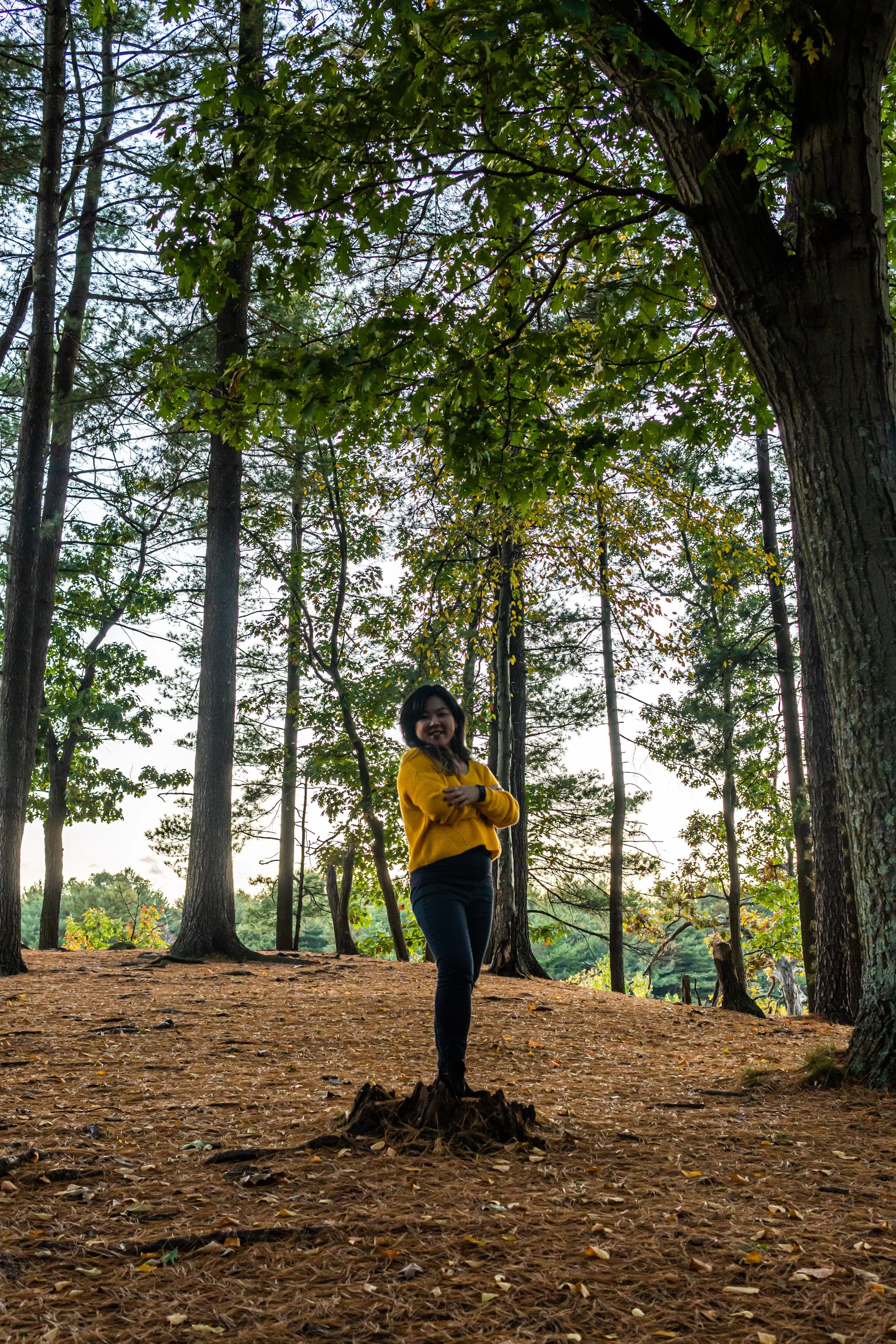 Energy Awareness, Reiki, and the Body’s Wisdom
