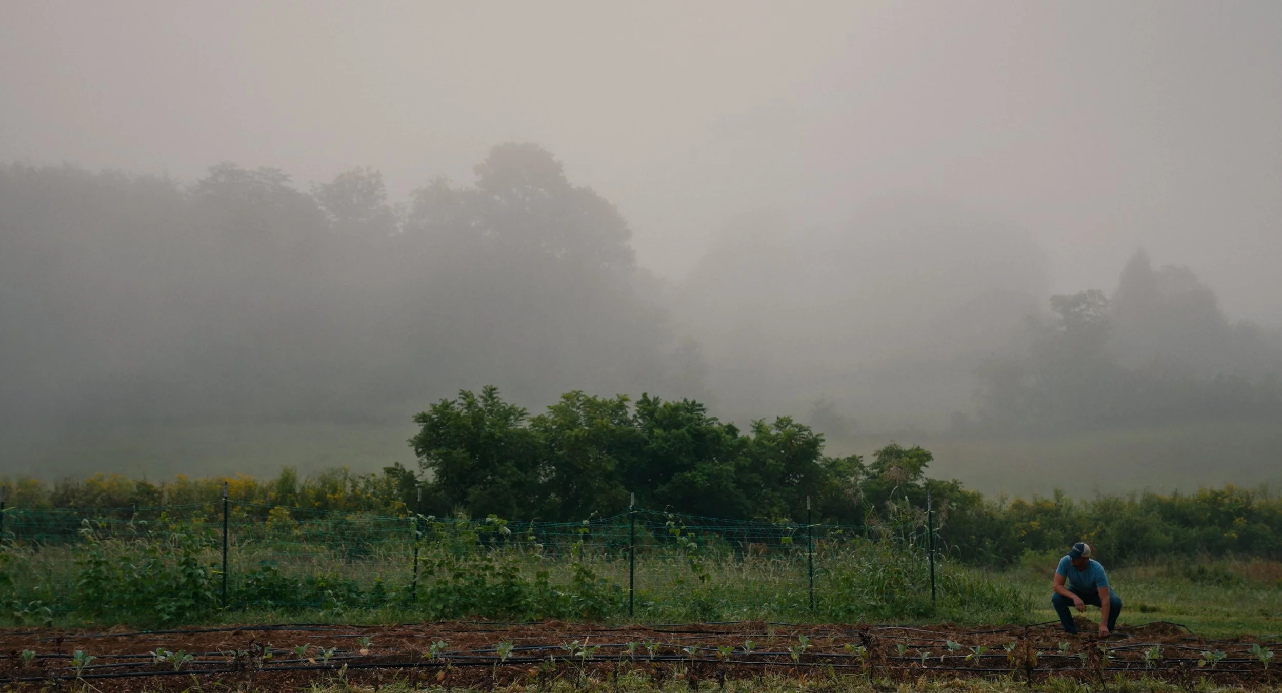 The Soil Remembers Stills-36.jpg