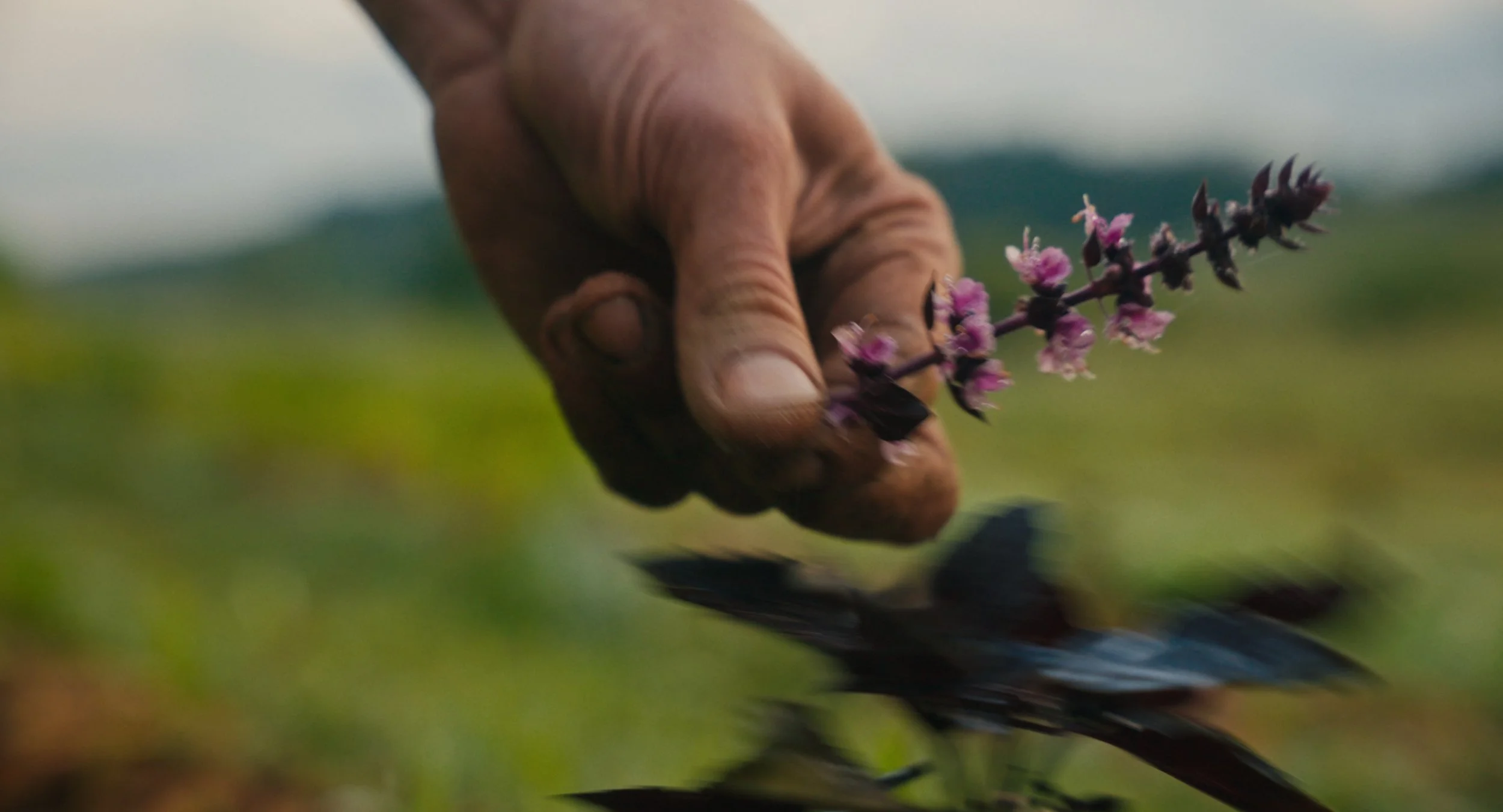 The Soil Remembers Stills-22.jpg