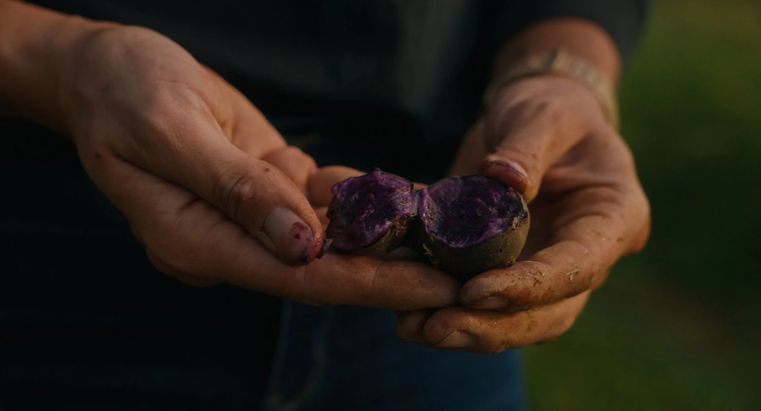 The Soil Remembers Stills-117.jpg