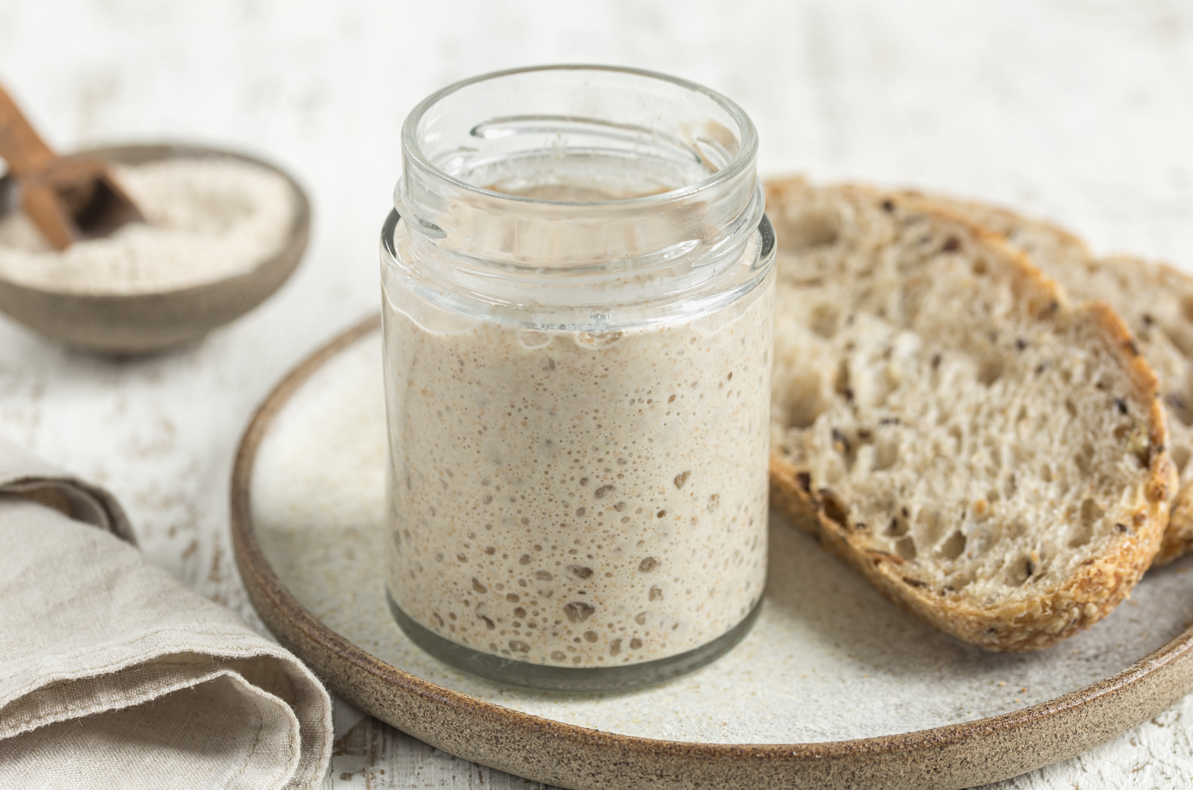 Sourdough Starter & Bread 