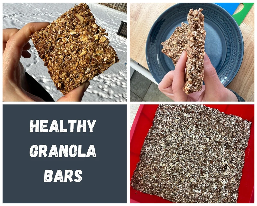 Healthy Granola Bars — The Jaroudi Family