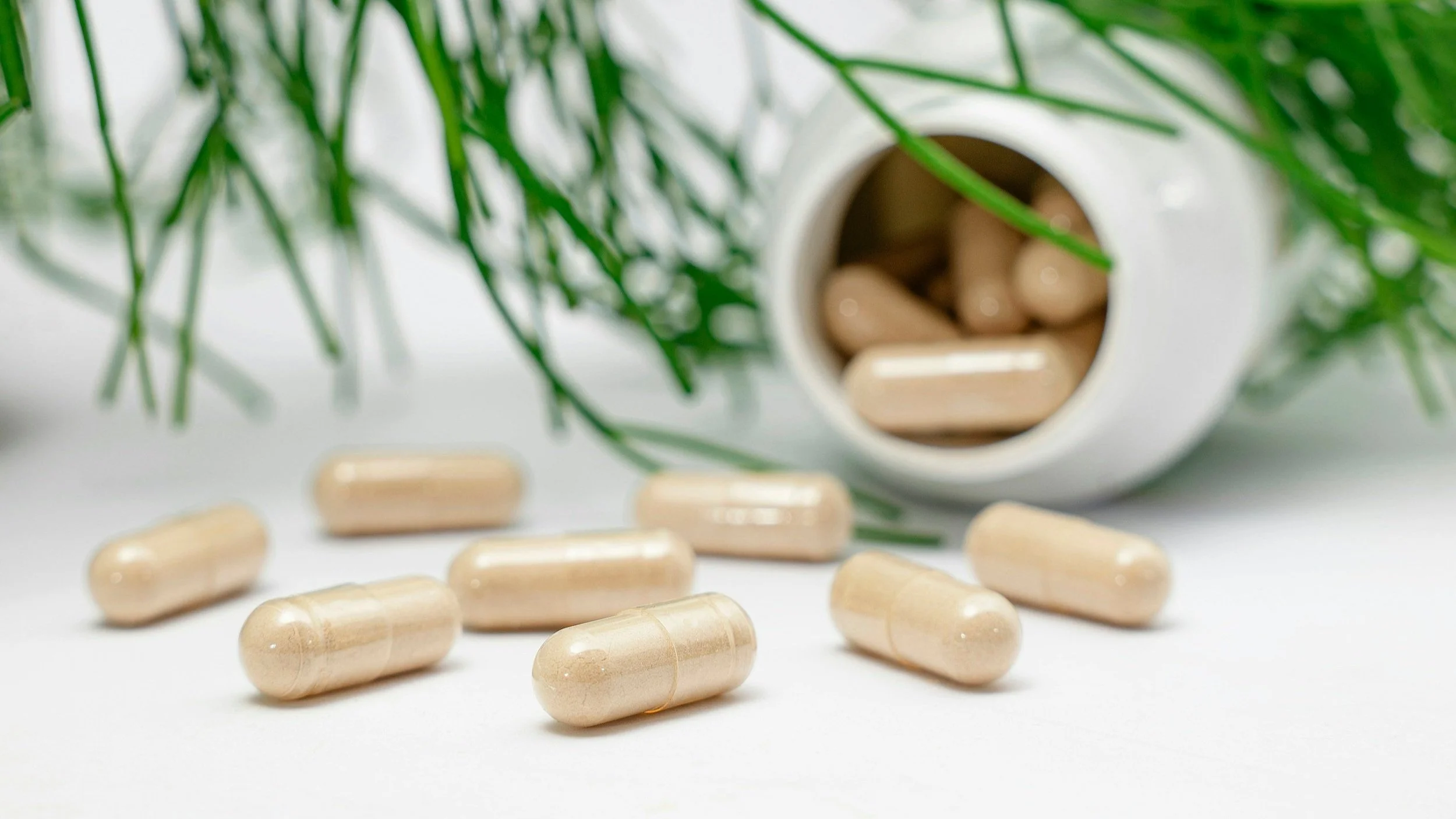 The Hidden Toxins in Your Daily Routine — And How to Replace Them