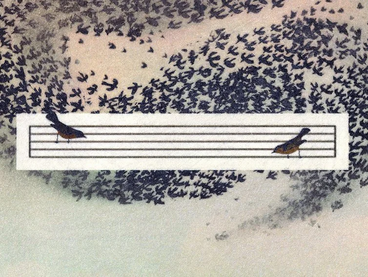 Listening to the Language of Birds