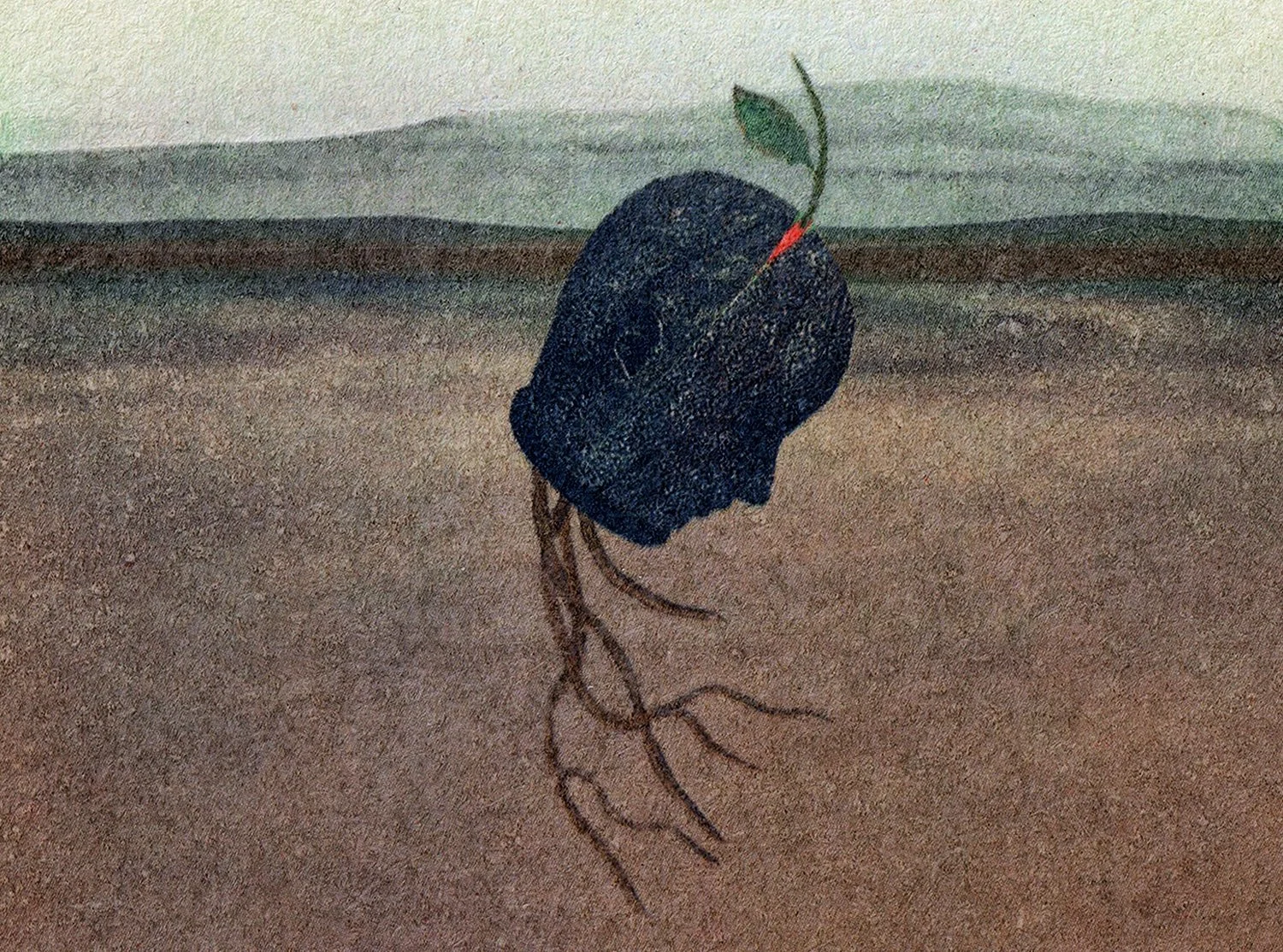 Encountering Trees