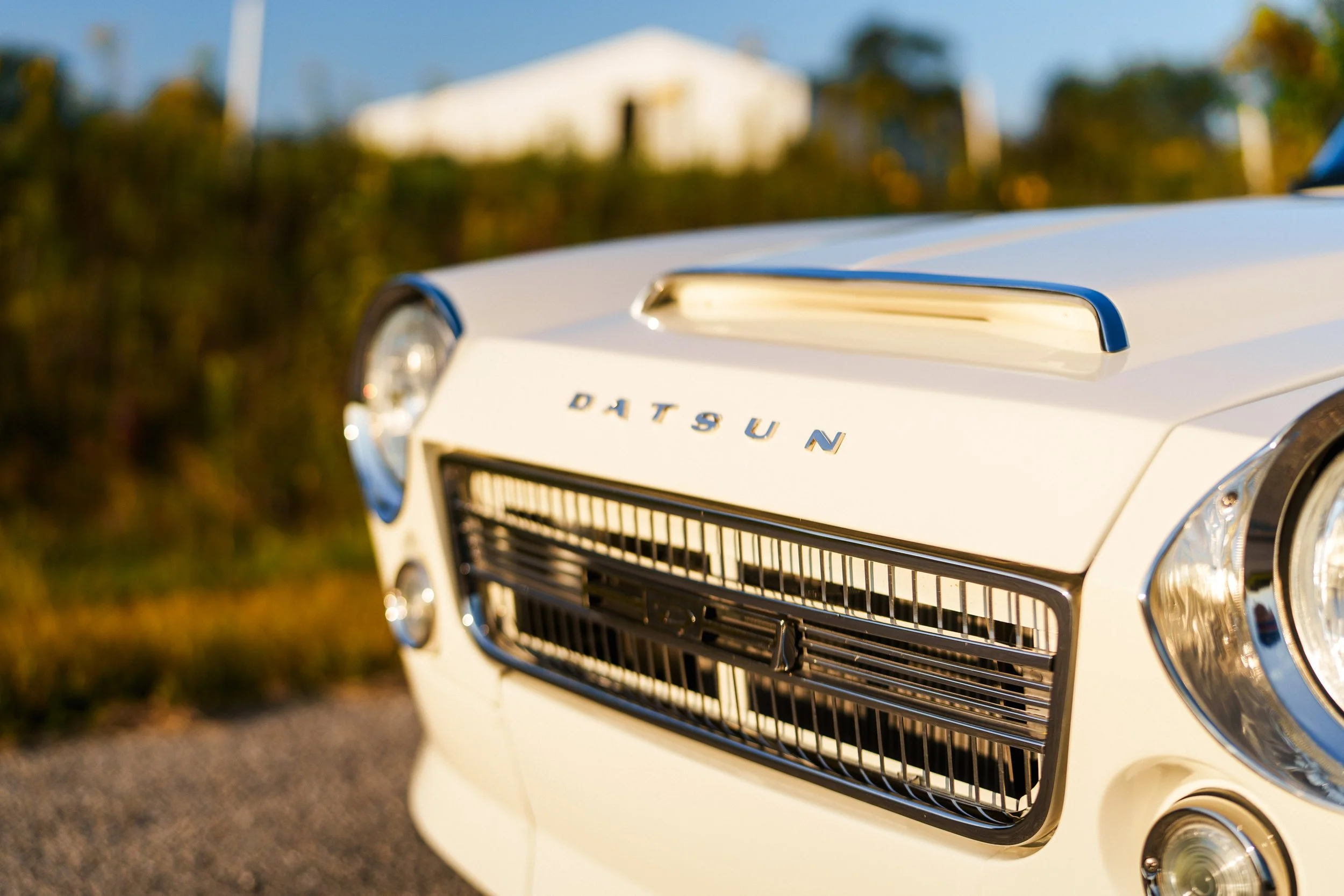 Connor Datsun 17.jpg