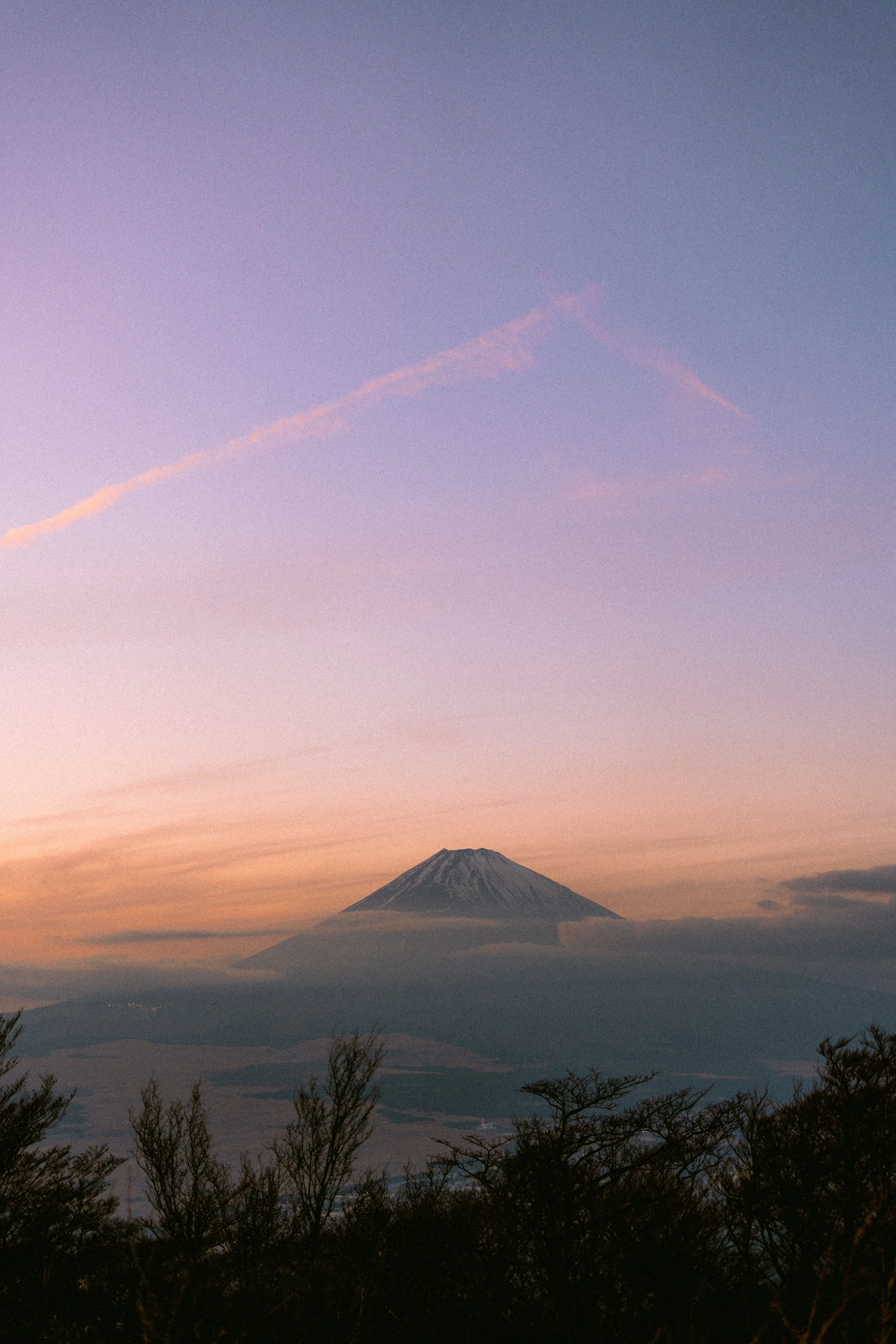 26_06_16 TAS Squarespace 119.jpg