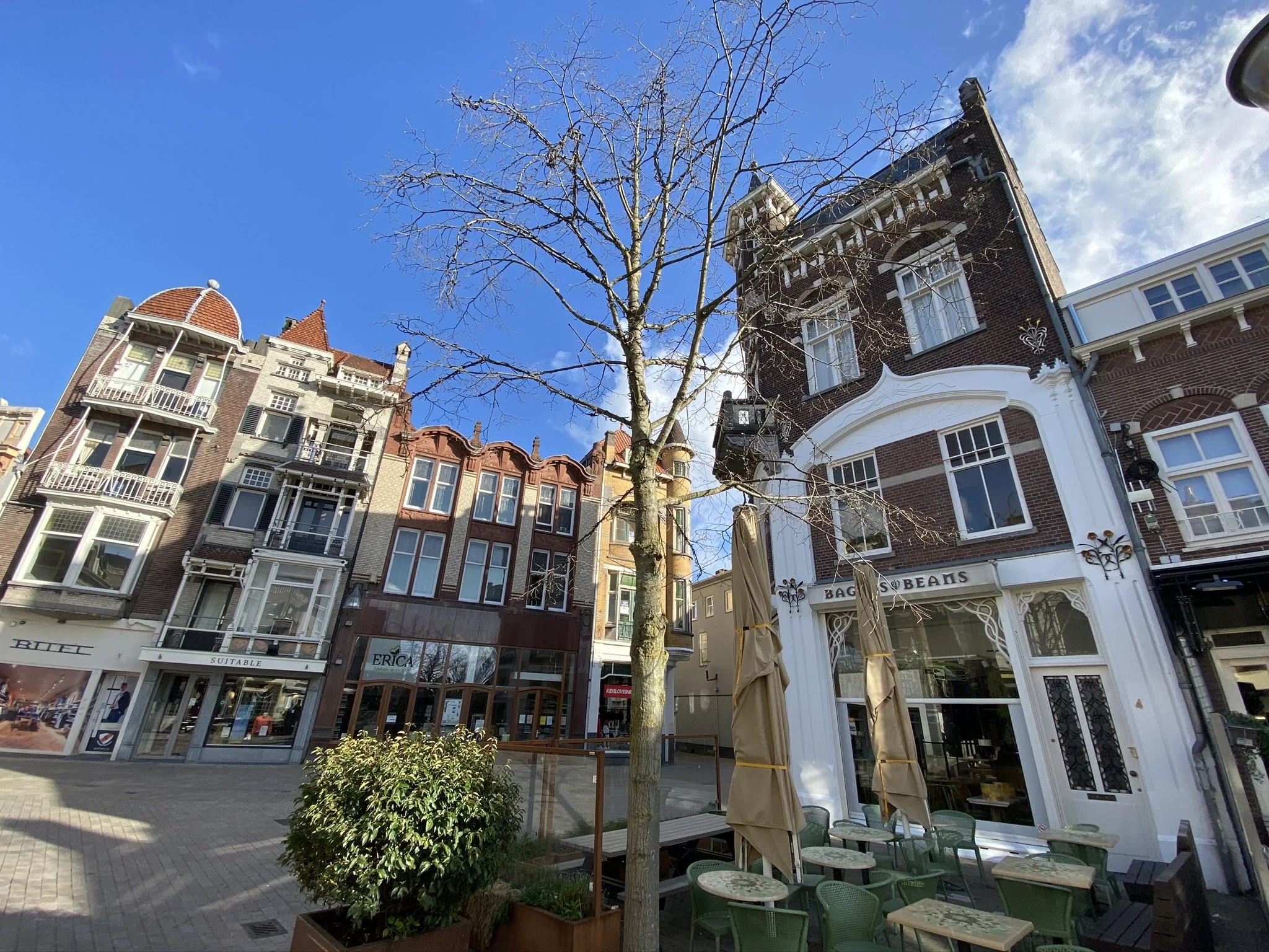 Hond wandelen Tilburg centrum