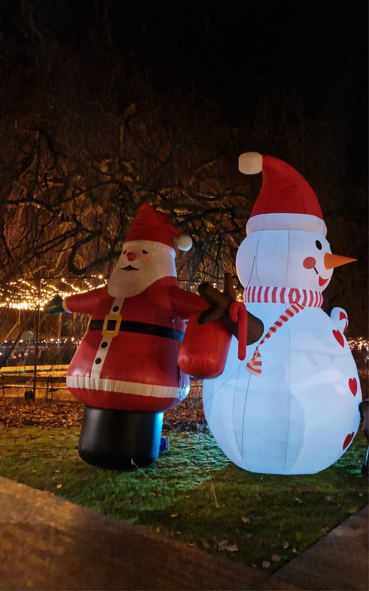 (NTB) Winterfair Tilburg (1).png