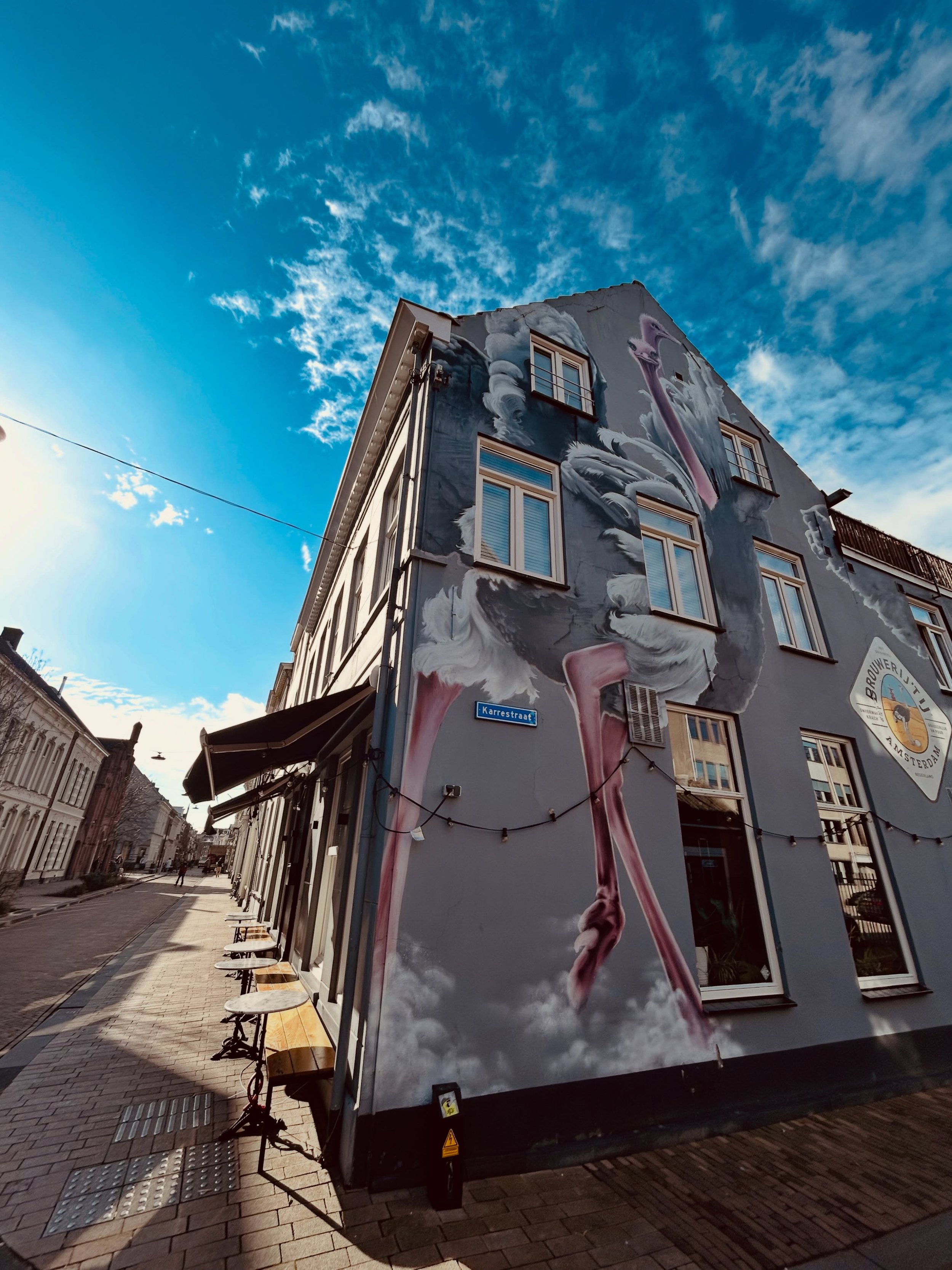 Dit straatbeeld is sinds 2021 niet meer weg te denken uit de Willem II Straat. De muurschildering is gemaakt door @paul_watty_art 🎨

Het zijn gigantische struisvogels, die ook terugkomen op het logo van Brouwerij &rsquo;t IJ, de financierder van het
