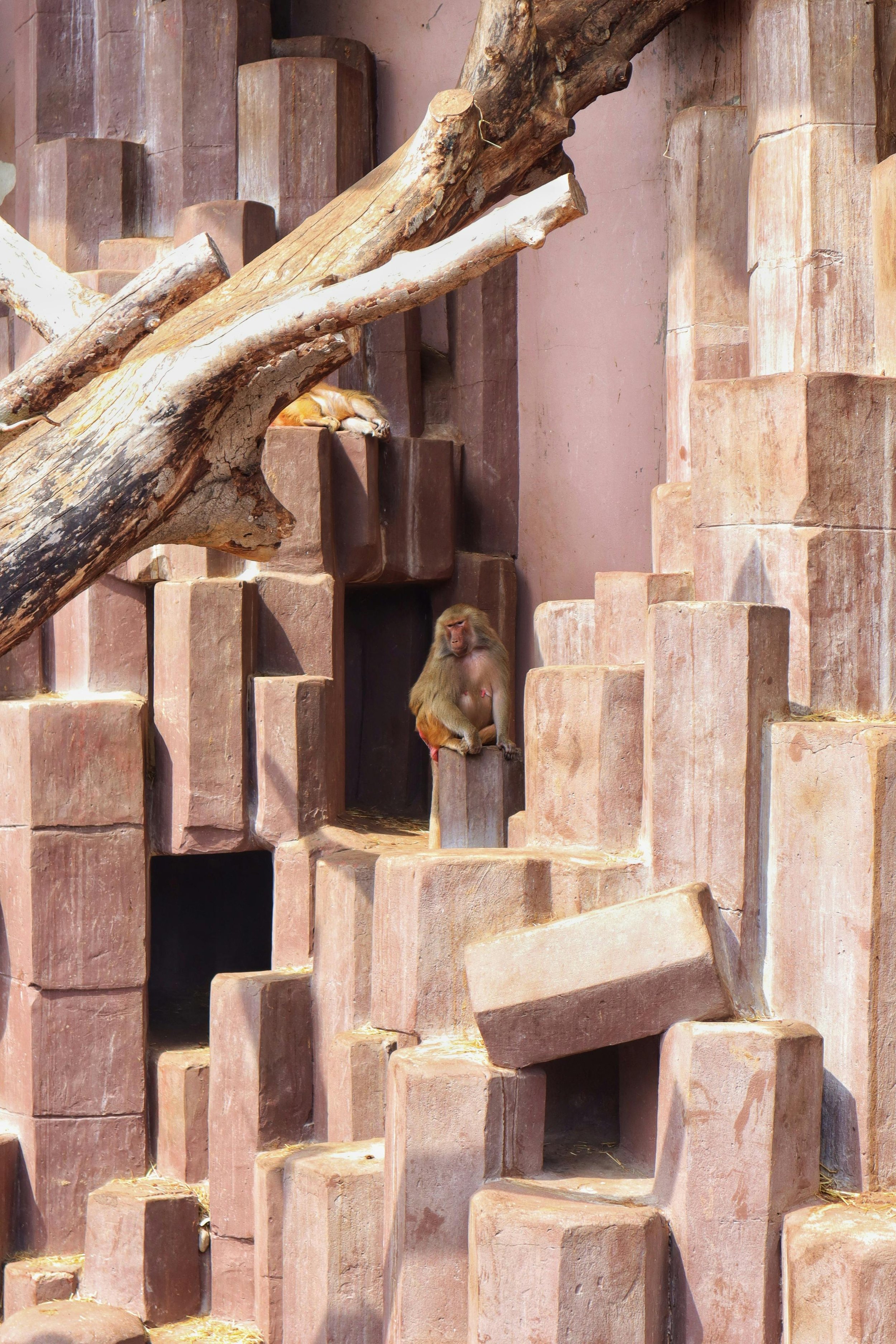 Dierenpark Tilburg