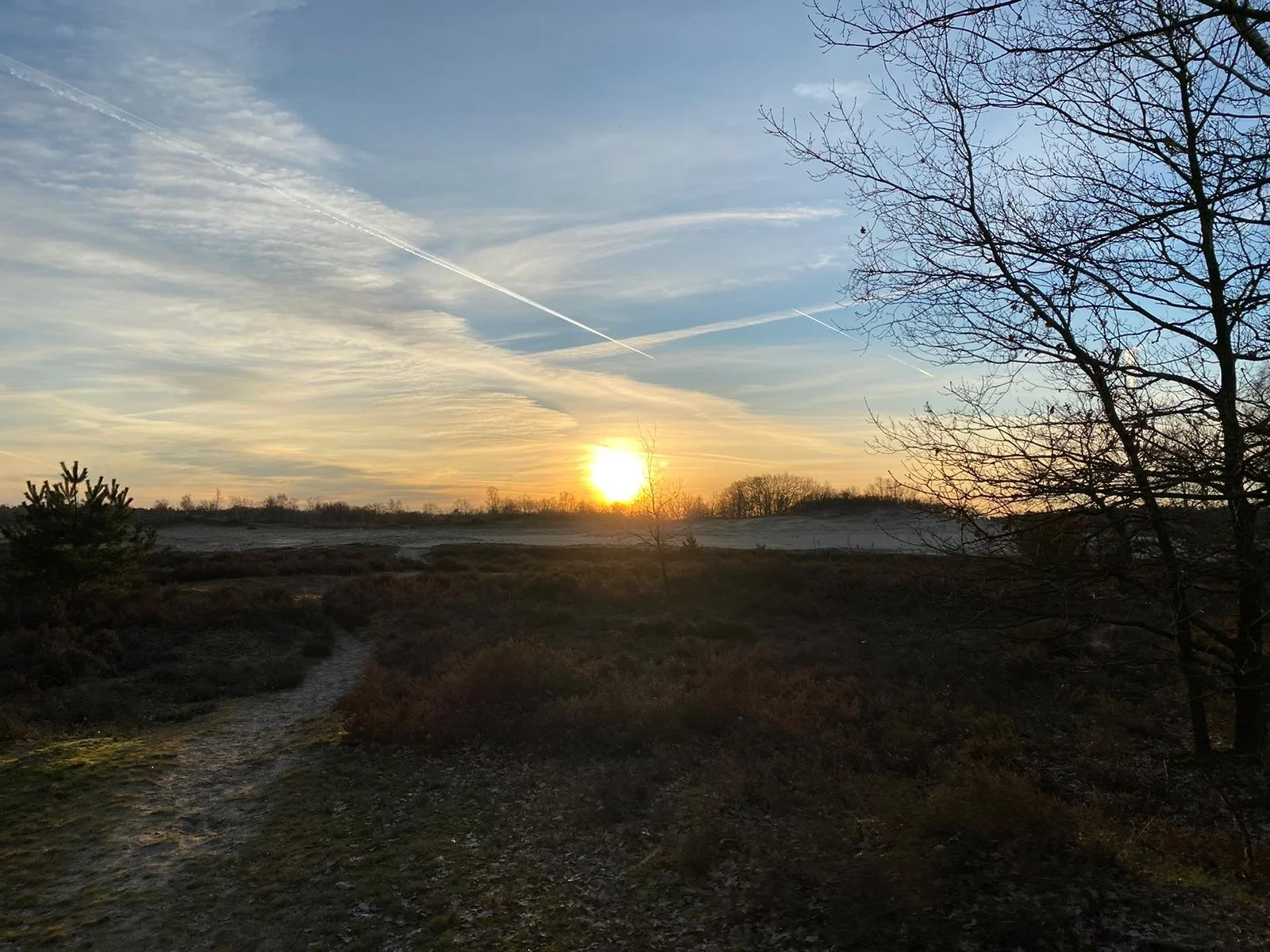 Loonse en Drunense duinen