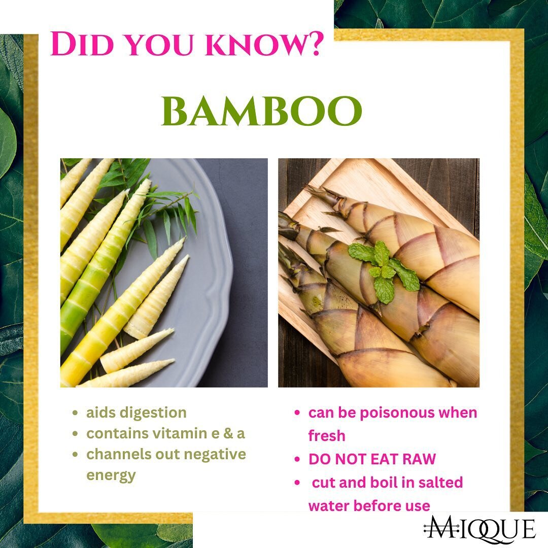 BAMBOO&rsquo;s good for you boo🎍🎋✨
&bull;
For more health tips FOLLOW US @miqque.co 
&bull;
&bull;
#didyouknow #bamboos #bambooshoots #bambooleaves #healthtips2023 #miqqueco #healthiswealth❤️ #tipoftheday #dailyhealthtips #healthylifestyle #vitamin