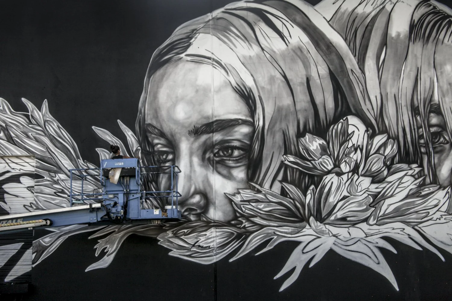 Copy of SODOTRACK_paola_wiseknave-5 2.JPG