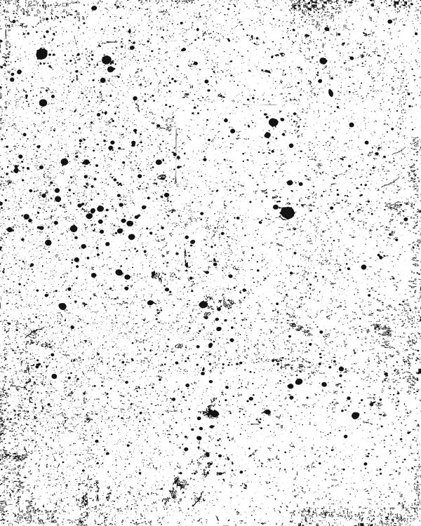 shop_0037_4. Inked.webp
