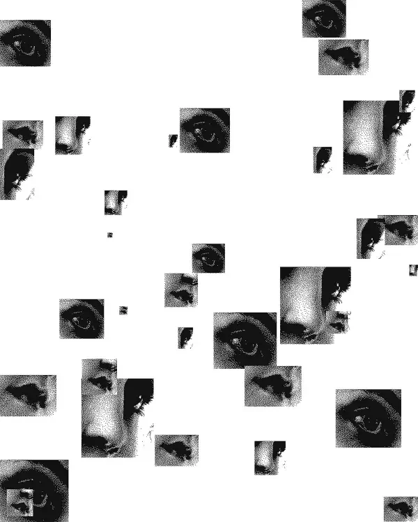 shop_0130_32. Facial Features .webp