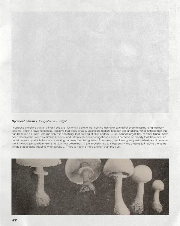 shop_0054_19. Mushroom Farm.webp