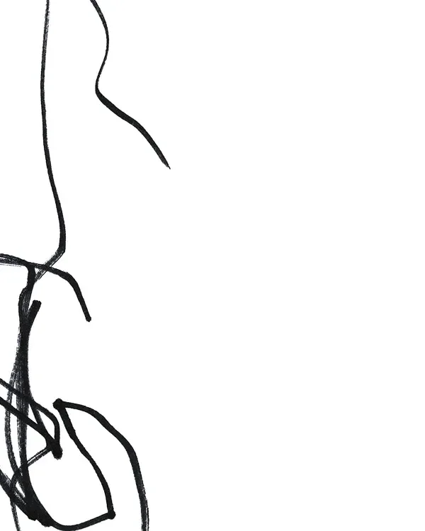 shop_0160_1. Scribble 1.webp