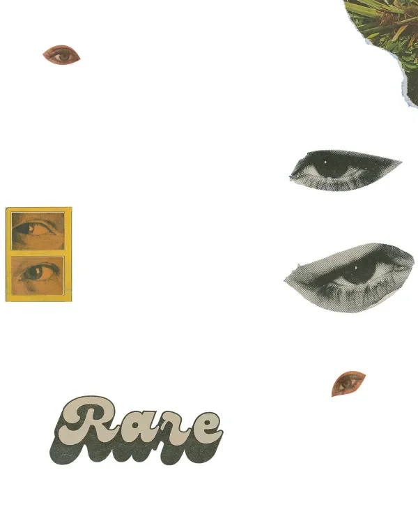 shop_0134_28. Cutouts 1 .webp