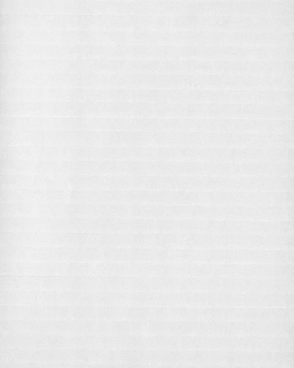 shop_0036_5. Scanner.webp