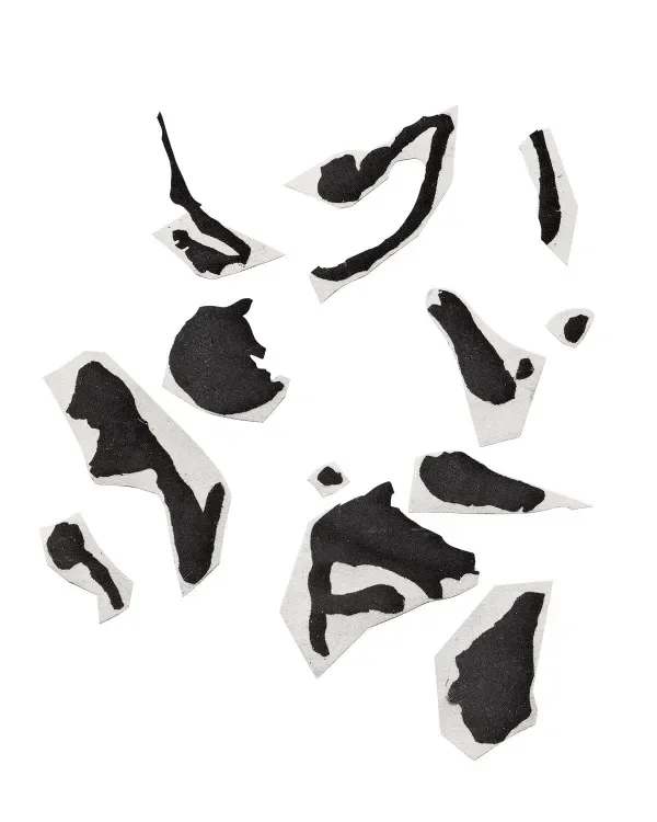 shop_0113_49. Marked.webp