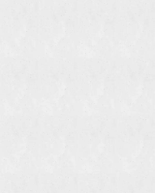 shop_0104_1. Off White.webp