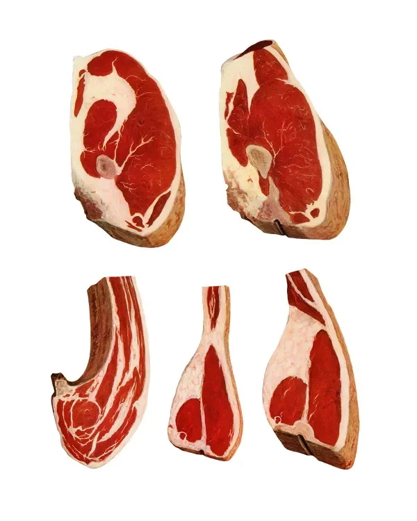 shop_0115_47. Meat Sweats.webp