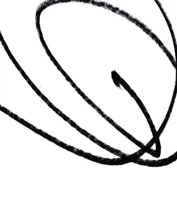 shop_0159_2. Scribble 2.webp