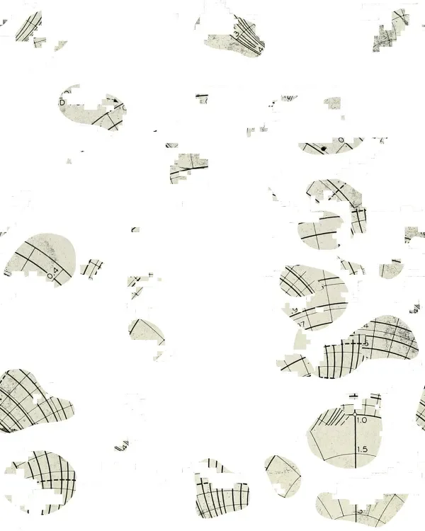shop_0153_8. Shredded Paper.webp
