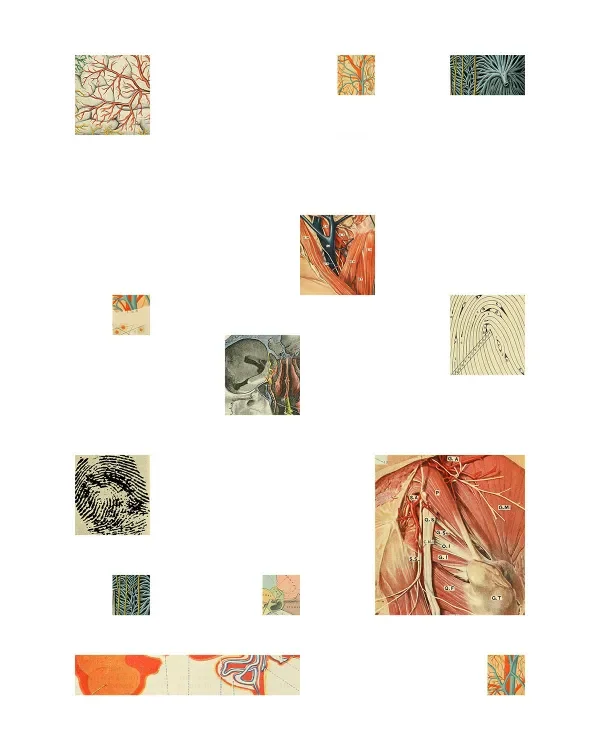 shop_0129_33. Anatomy Class.webp