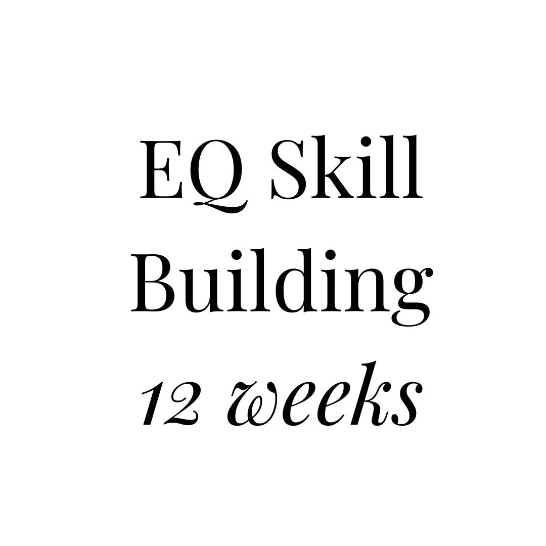 EQ Skill Building