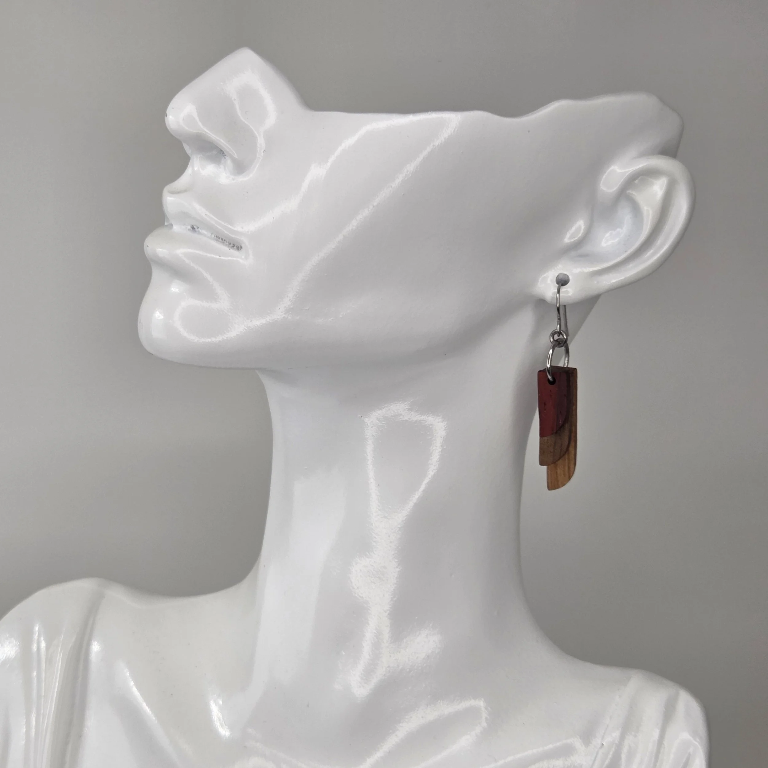 25-1004 (1).jpg (copie)