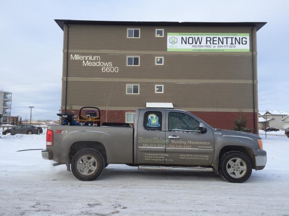 millenium meadows.jpg