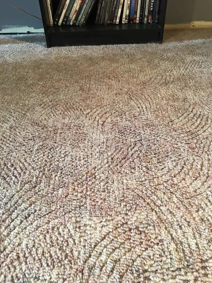 RED AND STAIN GONE.jpg