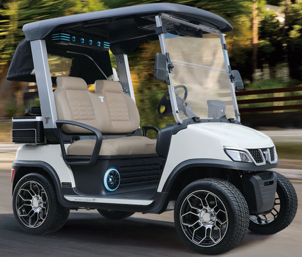 tara+golf+cart+17.webp