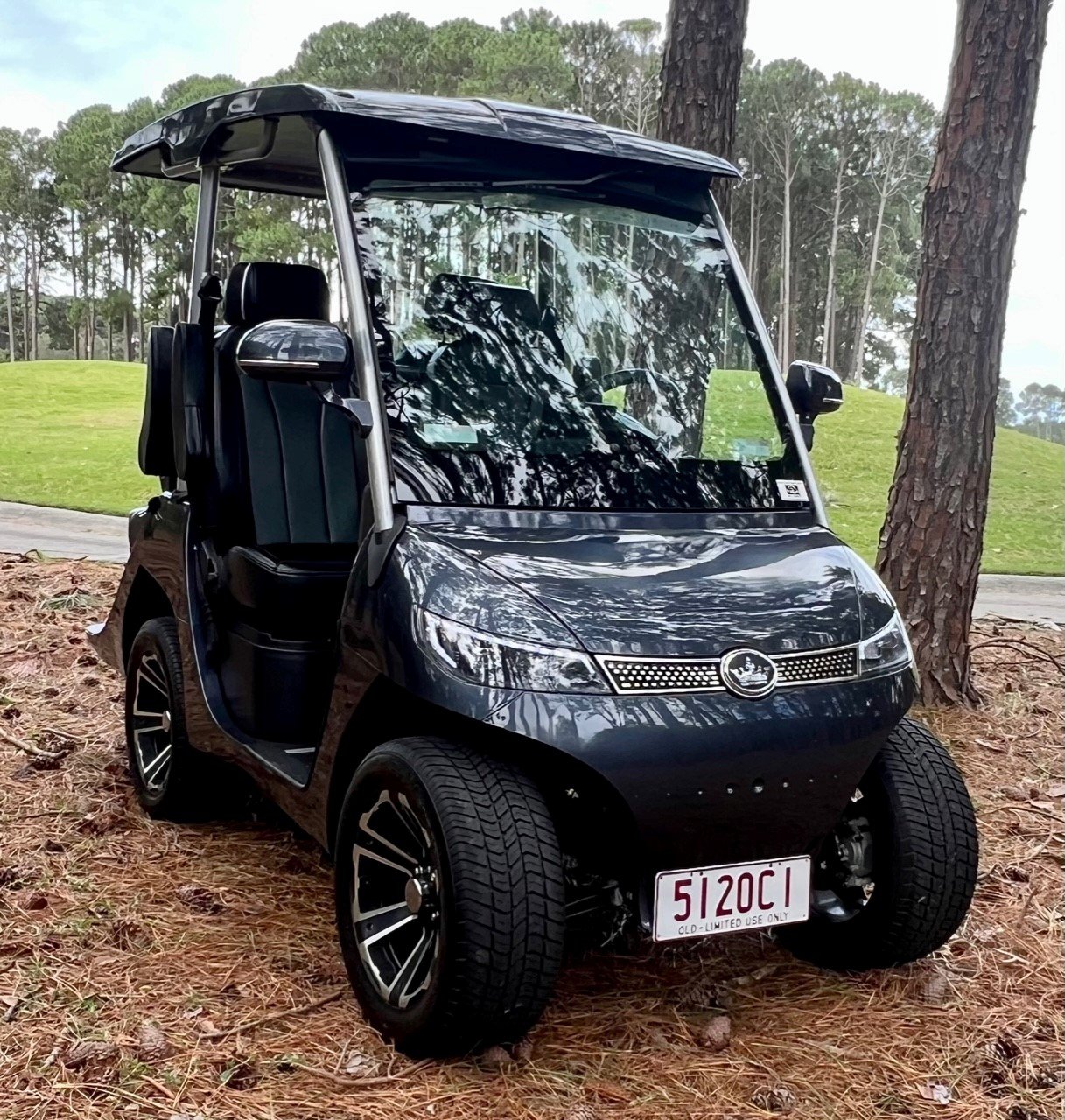 Gold Coast Golf Carts