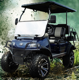 Forester+Cool+Pic.png
